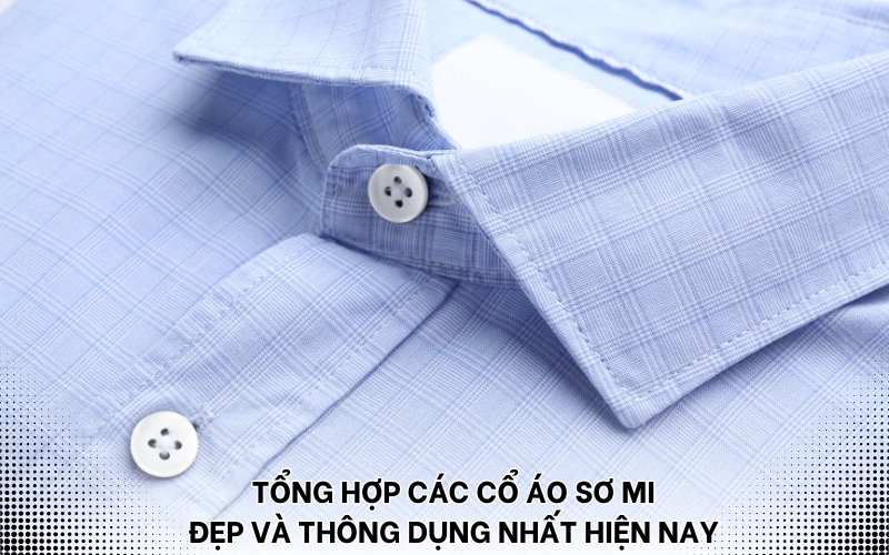 các cổ áo sơ mi